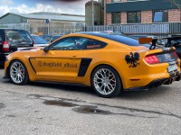 Mustang-20-Zoll-Poliert